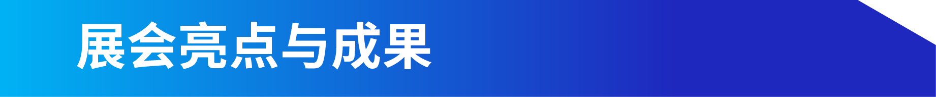 biaoti_画板 1 副本 3.png